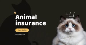 Animal insurance